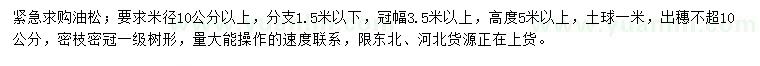 求購高度5米以上油松