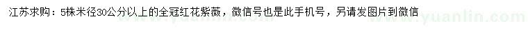 求購米徑30公分以上紅花紫薇