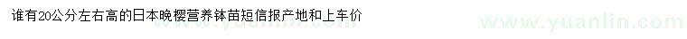求購高20公分日本晚櫻