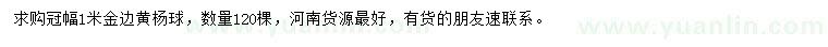 求購(gòu)冠幅1米金邊黃楊球