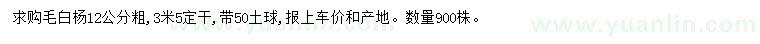 求購  12公分毛白楊