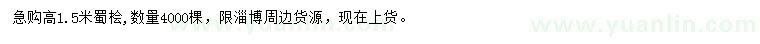 求購高1.5米蜀檜