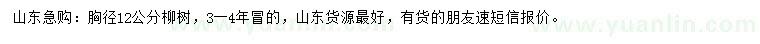 求購胸徑12公分柳樹