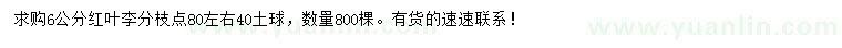 求購6公分紅葉李