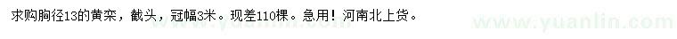 求購胸徑13公分黃欒