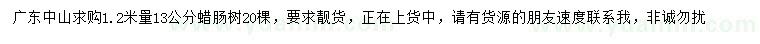 求購1.2米量13公分蠟?zāi)c樹