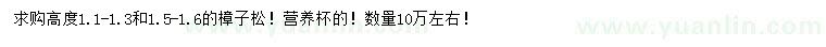 求購(gòu)高1.1-1.3、1.5-1.6米樟子松