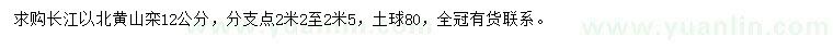 求購12公分黃山欒樹