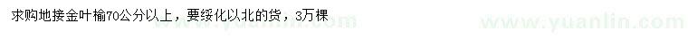求購70公分以上金葉榆