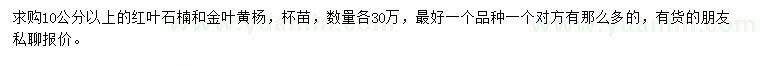 求購(gòu)10公分以上紅葉石楠、金葉黃楊