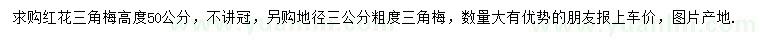 求購高50公分、地徑3公分三角梅