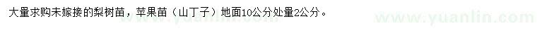 求購梨樹苗、10量2公分蘋果樹苗