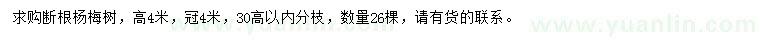 求購高4米楊梅樹