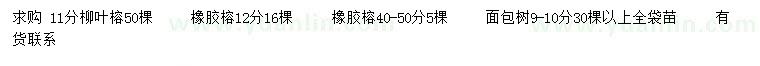 求購柳葉榕、橡膠榕、面包樹