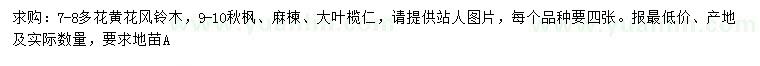 求購黃花風(fēng)鈴木、秋楓、 麻楝等