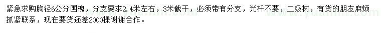 求購6公分國槐