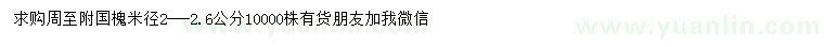 求購米徑2-2.6公分國槐