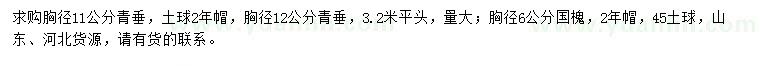 求購(gòu)胸徑11、12公分青垂、胸徑6公分國(guó)槐