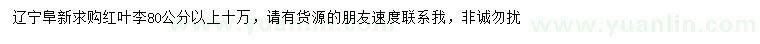 求購高80公分以上紅葉李