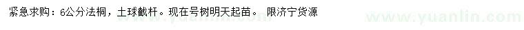 求購6公分法桐
