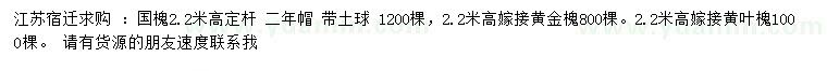 求購國槐、嫁接黃金槐、高嫁接黃葉槐