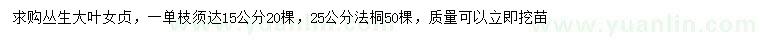 求購叢生大葉女貞、25公分法桐