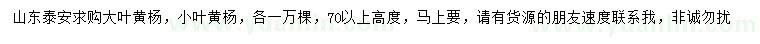 求購高70公分以上大葉黃楊、小葉黃楊