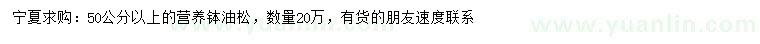 求購50公分以上油松