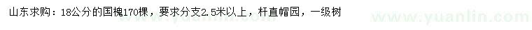 求購18公分國槐