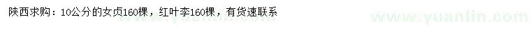 求購(gòu)10公分女貞、紅葉李