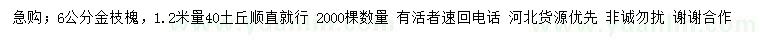 求購6公分金枝槐