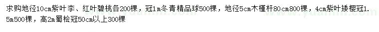 求購紫葉李、紅葉碧桃、冬青球等