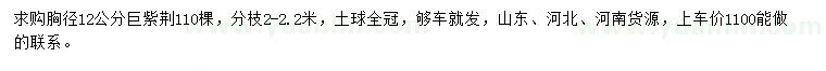 求購(gòu)胸徑12公分巨紫荊