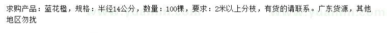 求購28公分藍花楹
