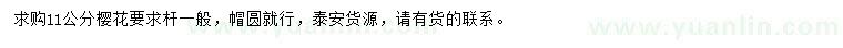 求購11公分櫻花