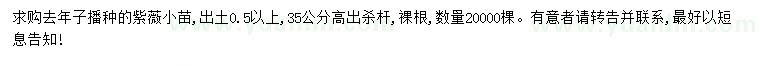 求購高35公分紫薇
