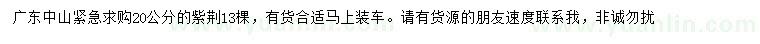 求購20公分紫荊