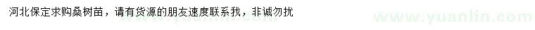 求購桑樹苗
