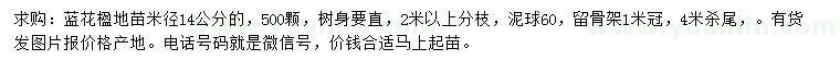 求購米徑14公分藍花楹