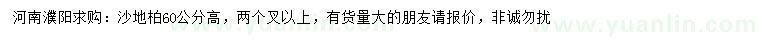 求購高60公分沙地柏