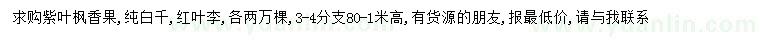 求購紫葉楓香果、純白千、紅葉李，