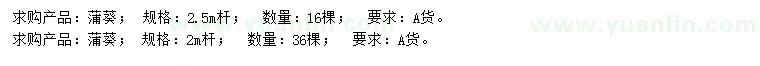 求購2、2.5米蒲葵