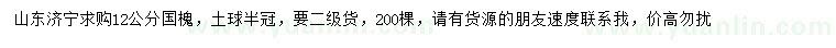 求購12公分國槐