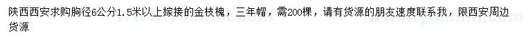 求購(gòu)胸徑6公分金枝槐