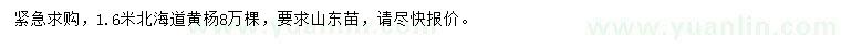 求購(gòu)1.6米北海道黃楊