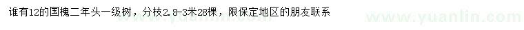 求購(gòu)12公分國(guó)槐