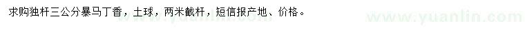 求購3公分暴馬丁香
