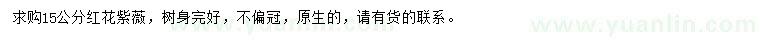 求購15公分紅花紫薇