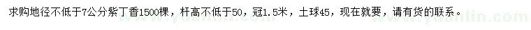 求購(gòu)地徑不低于7公分紫丁香