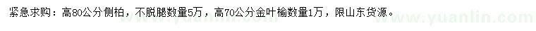 求購高80公分側柏、高70公分金葉榆